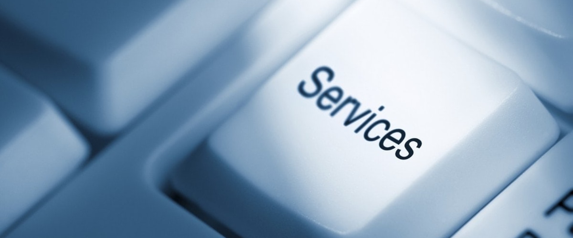 What Types of Services Are Available for Companies and Individuals?